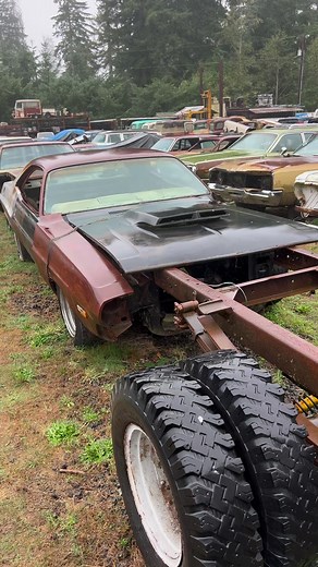 3.3M views · 10K reactions | I’d love to see this Challenger rise from the dead. ☠️履‍♂️ #nomoparleftbehind #talkingmoparspodcast #wildcatautowrecking #wildcatmopars #moparpodcast #savethemopars #mopar #moparornocar #moparmuscle #moparperformance #dodge #plymouth #chrysler #desoto #hemi #426hemi #scatpack #rapidtransitsystem #barnfinds #wreckingyard #barnfind #projectcar #projectcars #moparproject #moparprojects #classiccars #musclecars | Talking Mopars Podcast | Facebook
