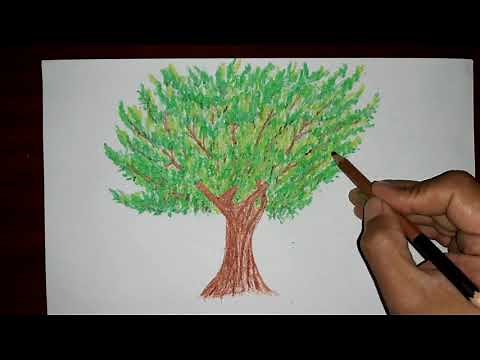 drawing a tree (olive tree) رسم شجرة زيتون