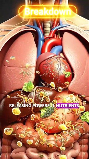 What Broccoli Does Inside You #wellness #health #science