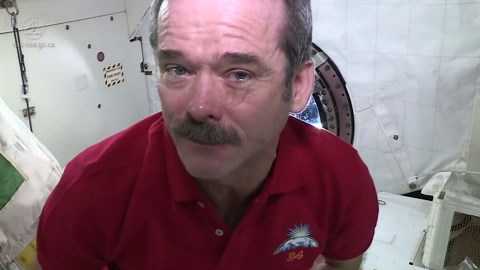 A Bottle Of Merlot That Was Aged In Space And Worth Over $1 Million