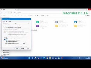Mostrar archivos recientes cuando no aparecen en WIndows 11