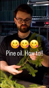 566 reactions · 47 shares | How to make pine oil. An essential part...
