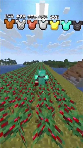 Armor vs Damage in Minecraft🍓