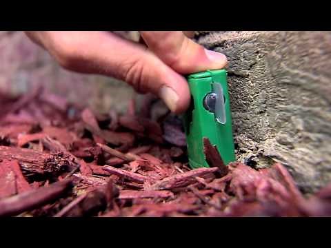 Kill Ants with TERRO Outdoor Liquid Ant Bait Stakes