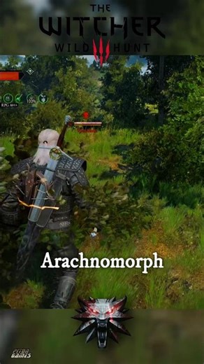 The furry monsters wanted me for dinner | The Witcher 3: Wild Hunt | #thewitcher3