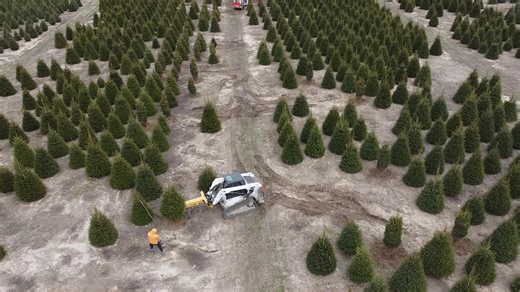 🎄✨ At Korson's Tree Farm, they are wrapping up Christmas magic with the precision of the Dutchman Tree Tyer! 🌲🧵 This machine is built for durability with little maintenance required and produces a tight, even wrap to minimize branch damage during shipping. 📍 Korson's Tree Farms | Sidney, MI 📹 Korson's Tree Farms #DutchmanIndustries #TreeTyer #TreeNursery #TreeTransplanting #Landscaping #LandscapeIndustry | Dutchman Industries