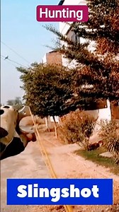 Slingshot Hunting|How to hunt|