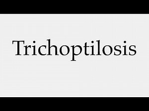How to Pronounce Trichoptilosis