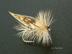 Tying the Grey Flag Sedge DryFly) with Davie McPhail