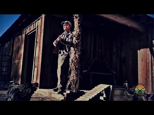 Neil Young - Harvest (Farm Aid 2020 On the Road)