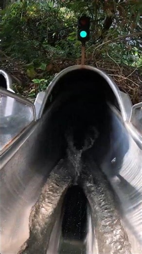 This Slide Goes Through a Jungle 😱🌴💦 | Tropical Islands Germany