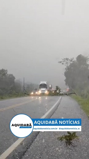 BR-470 totalmente bloqueada por queda de árvore em Apiúna. Árvore caiu no bairro Ribeirão Roxo, chove bastante na região neste momento os motoristas devem ter atenção redobrada. Segundo informações de seguidores o trecho da BR-470 entre a localidade de Subida e Centro de Apiúna tem bastante fio e também algumas árvores caídas. | Aquidabã Notícias reserva