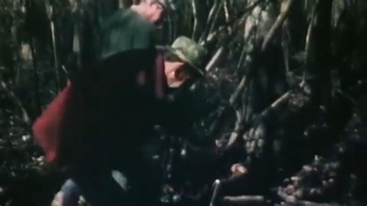 It looked like Bigfoot - creature that made locals avoid the swamp