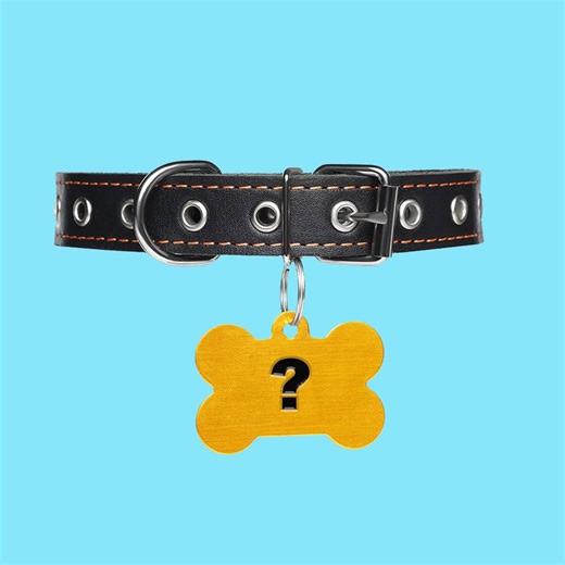 These are the most popular dog names of 2025—is your pup’s name on the list?