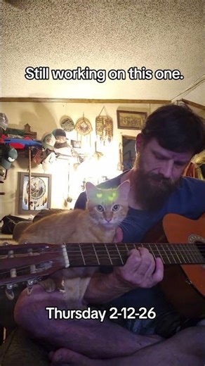 Led Zeppelin Practice #guitar #foryou #shorts #cover #ledzeppelin #blackdog #practice