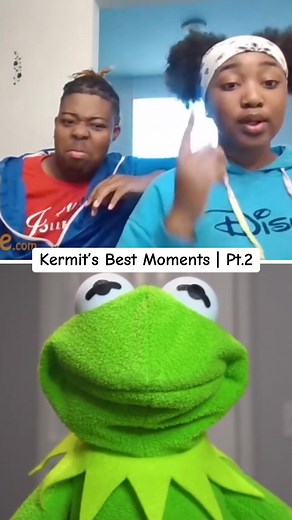 Kermit's Hilarious Best Moments Compilation Part 2