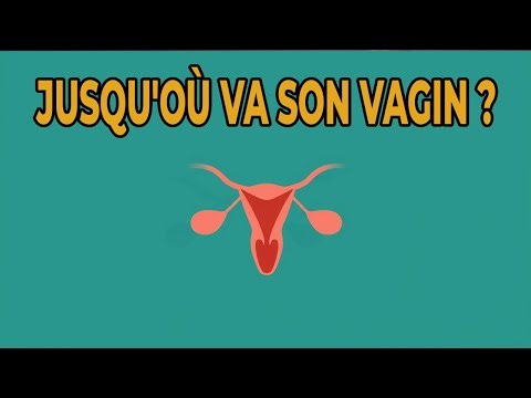 QUEL EST LA PROFONDEUR DU VAGIN ? UN UROLOGUE EXPLIQUE