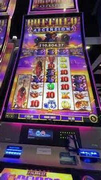 A $4 Super Stampede came out of NOWHERE… and paid 720x! 🔥🎰