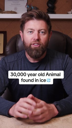 Exploring the Best Preserved Ice Age Animal Found in Ice | Forrest Galante