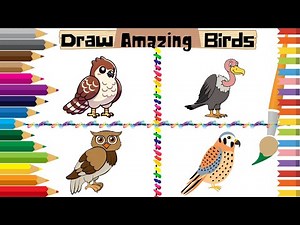 Learn to Draw Hawk, Vulture, Owl, and Kestrel | Easy Birds of Prey Drawing Tutorial for Kids