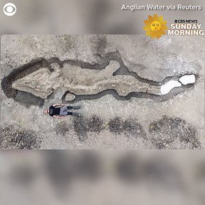 18K views · 702 reactions | Paleontologists in England have discovered the fossilized remains of an ichthyosaur, or "sea dragon," a giant prehistoric sea creature. It's being called "the paleontological discovery of a lifetime," according to the Leicestershire and Rutland Wildlife Trust. https://cbsn.ws/3tjTb1t | CBS Sunday Morning | Facebook