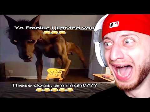 I Reacted To Your Memes And They Are Unsettling