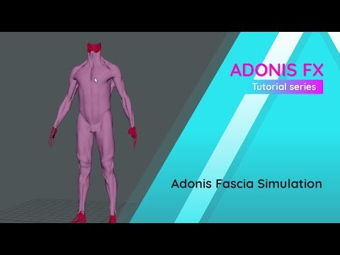 AdonisFX Tutorial: Setup and Simulate Fascia