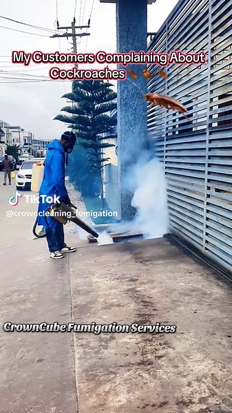 Effective Fumigation Services for Bedbug and Cockroach Control