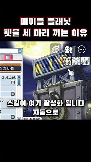 (메이플플래닛 - 뉴비 꿀팁) 펫을 세 마리 끼는 이유