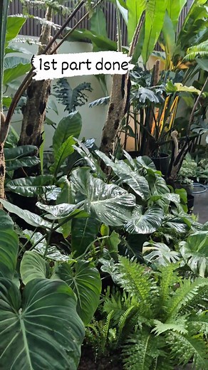 Plants scape first part done. | Simply David & Jen