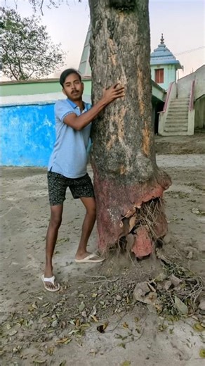 focus on the same tree visible in the 🤣😂