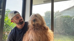 How To Brush a Goldendoodle & Life Updates!