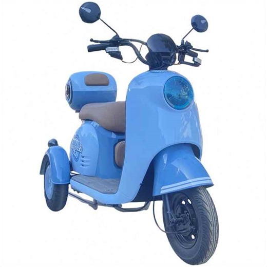 Strong Power Center Differential Split Trike Closed Electric Tricycle Made in China Cheap With New Design