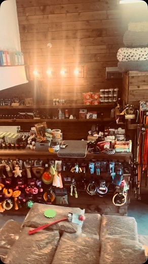 Home away from home! 🫡 … 🙌🔥❤️ x | Adam Barr