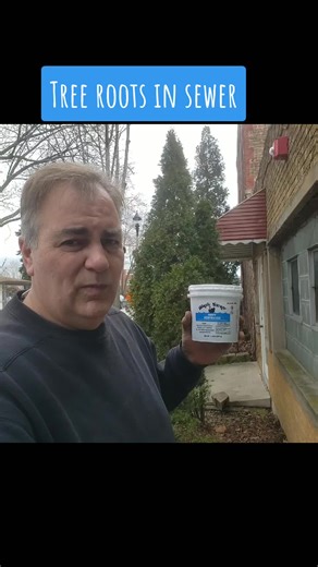 Effective Root Destroyer for Preventing Sewer Backup from Tree Roots