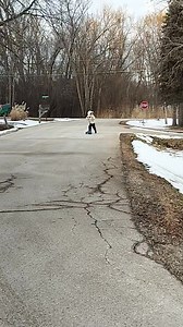 Polar Express coming through! | Paul Schewe