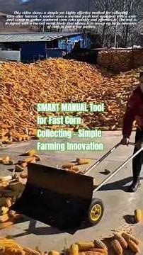 SMART MANUAL Tool for Fast Corn Collecting – Simple Farming Innovation #satisfying #short