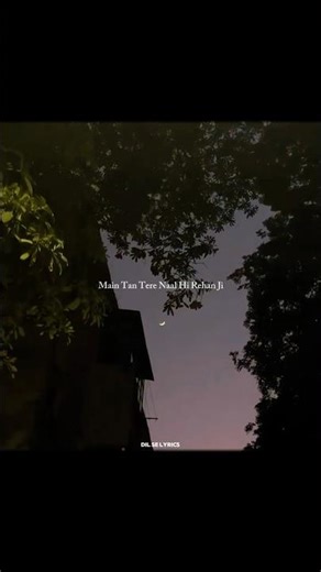 Main Ta Tere Naal Hi Rehna | Jogi | #lyricsreels #songlyrics #lyricsvideo #lyricalstatus #shorts