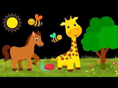 Baby Sensory Video - Tummy Time - Sensory Videos for Babies - Visual Stimulation for Newborn #baby