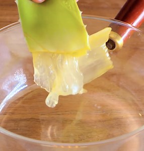 363K views · 126 reactions | Biodegradable packaging from aloe vera - no microplastics release ♻️ | 5-Minute Crafts Play | Facebook