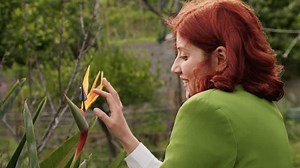 Junge Frau riecht nach Blumen: Stockvideos & Filmmaterial (100 % lizenzfrei) 1102961065 | Shutterstock