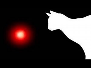 Chasing Lights: The Laser Hunt (For Cats) | Cat Games