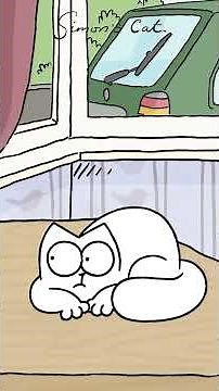 Cat & Kitten learn what 'The Snip' means 👀