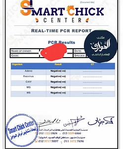 ✌ | شركة الهواري للاستثمار الداجني Al -Hawari Group for poultry investment | Facebook