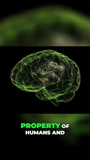 Unveiling Consciousness: Mysteries of the Human Mind #shorts