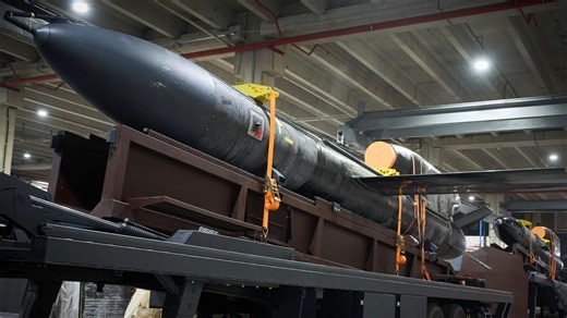 Ukraine fires 'Flamingo' missile for the first time that can strike Moscow