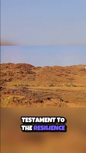 Discover Karratha A Hidden Gem in Western Australia 🇦🇺