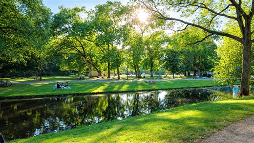 A calm park walk along water in Rotterdam