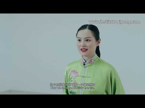 health qigong wuqinxi lección 4
