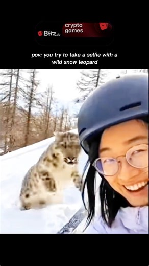 wierd_world | The snow leopard, often referred to as the "ghost of the mountains," is a master of camouflage uniquely adapted to the harsh, high-altitude... | Instagram